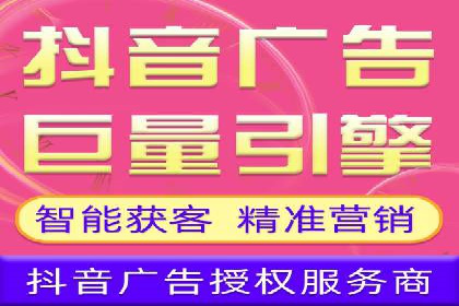 成功SEM推广代运营案例展示